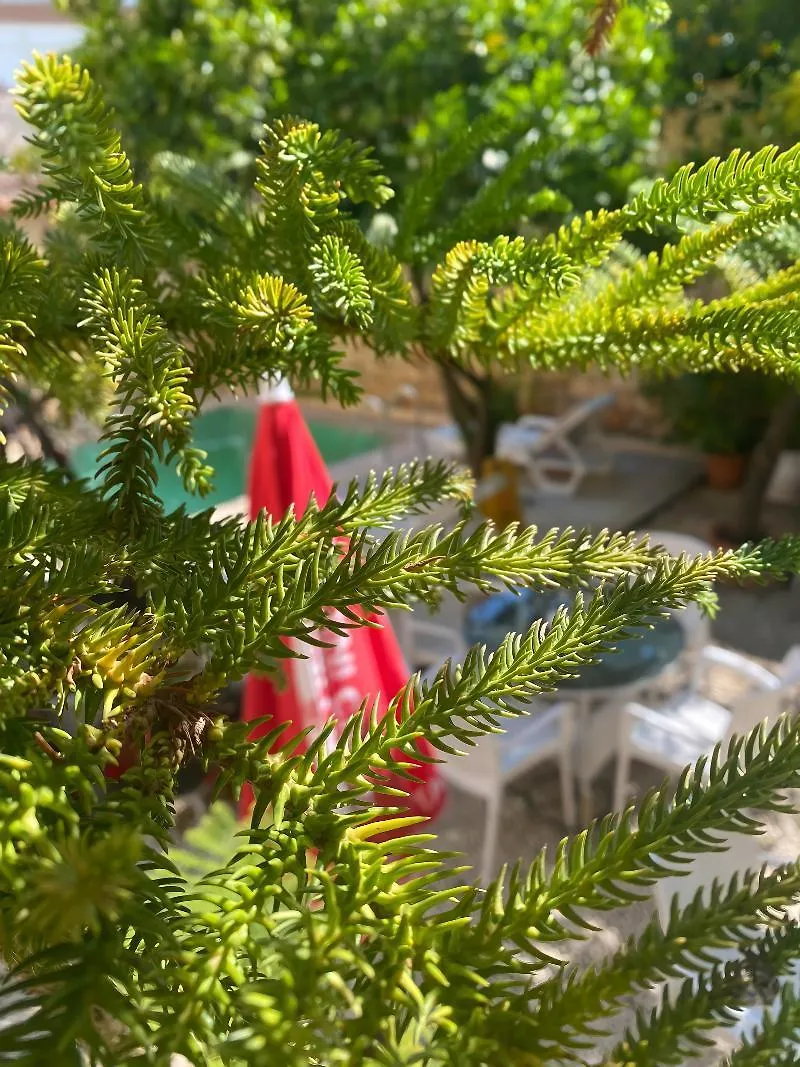 Konak Hotel Kaleici Antalya